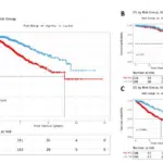 Figure 2 3 charts within RCC White Paper chart OS by Risk Group, Stages