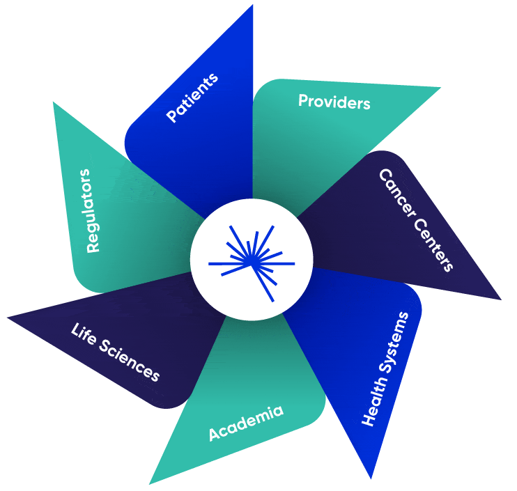 Aster Insights pinwheel with partners